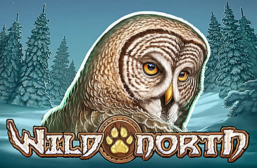 Play Wild North