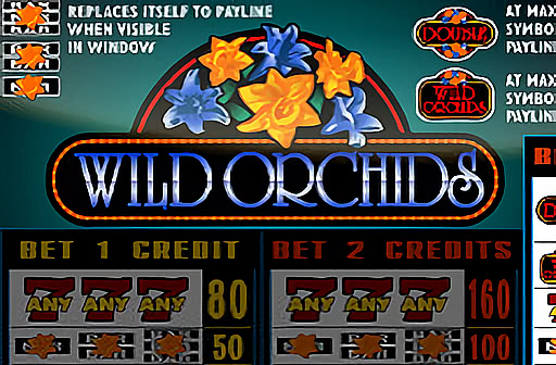 Play Wild Orchids