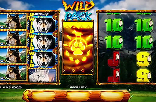 Play Wild Pack