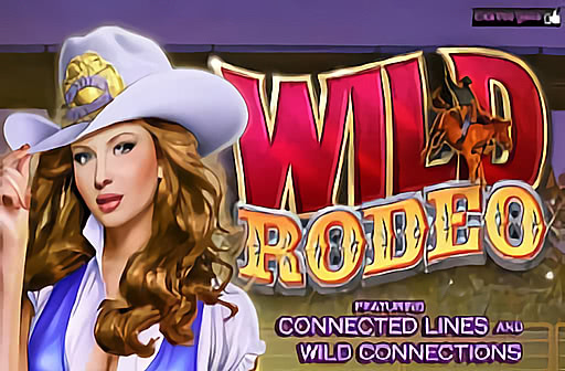 Play Wild Rodeo