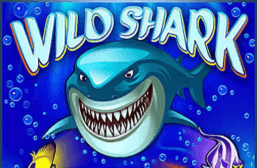 Wild Shark