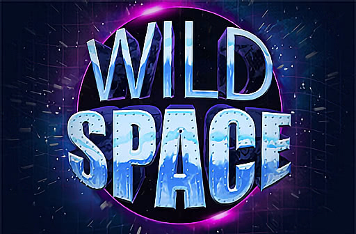 Play Wild Space