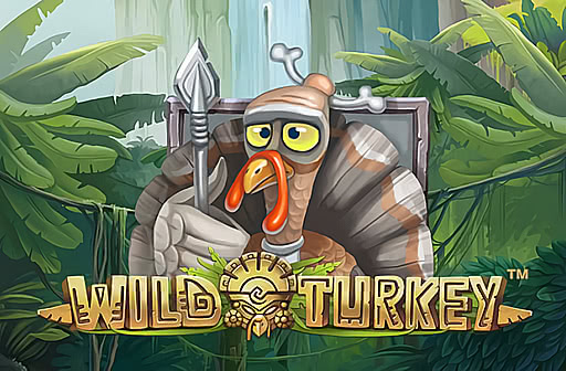 Play Wild Turkey