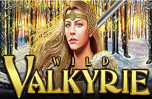 Play Wild Valkyrie