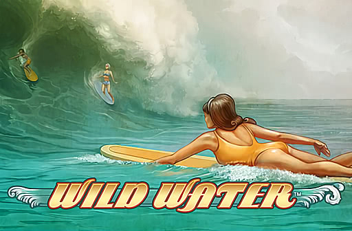 Play Wild Water