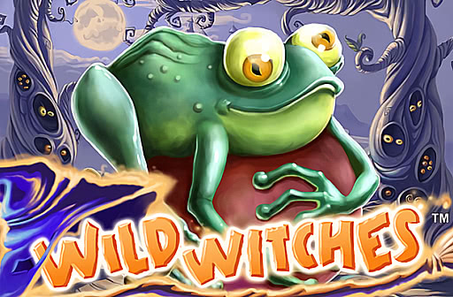 Play Wild Witches
