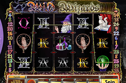 Play Wild Wizards