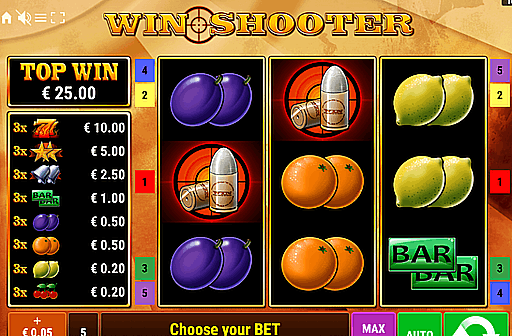 Play Win Shooter