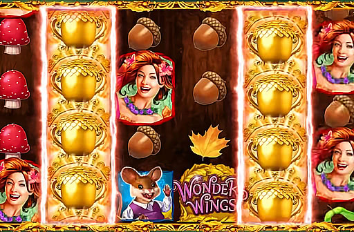 Play Wonder Wings Ruby Dash