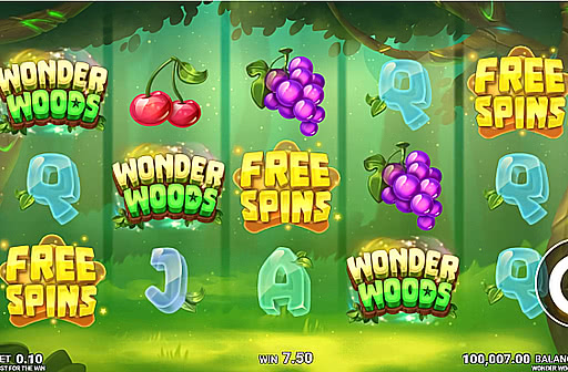 Play Wonder Woods