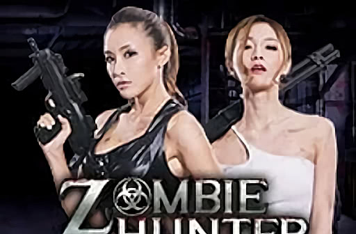 Play Zombie Hunter